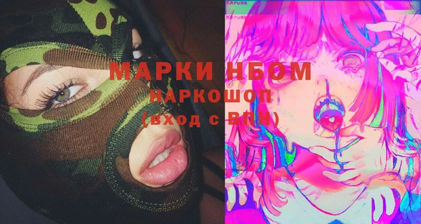 твердый Верхний Тагил