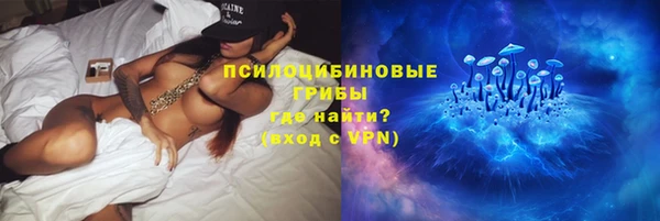 индика Верея