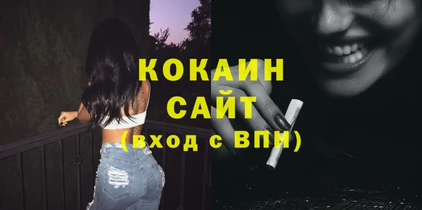 твердый Верхний Тагил