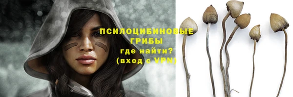 твердый Верхний Тагил