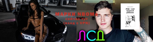 индика Верея
