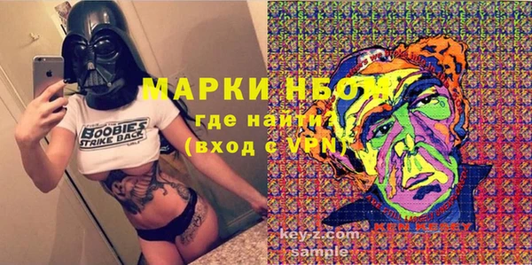 индика Верея
