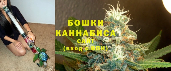 индика Верея