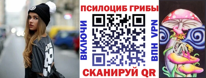 Псилоцибиновые грибы Cubensis  Новоржев 